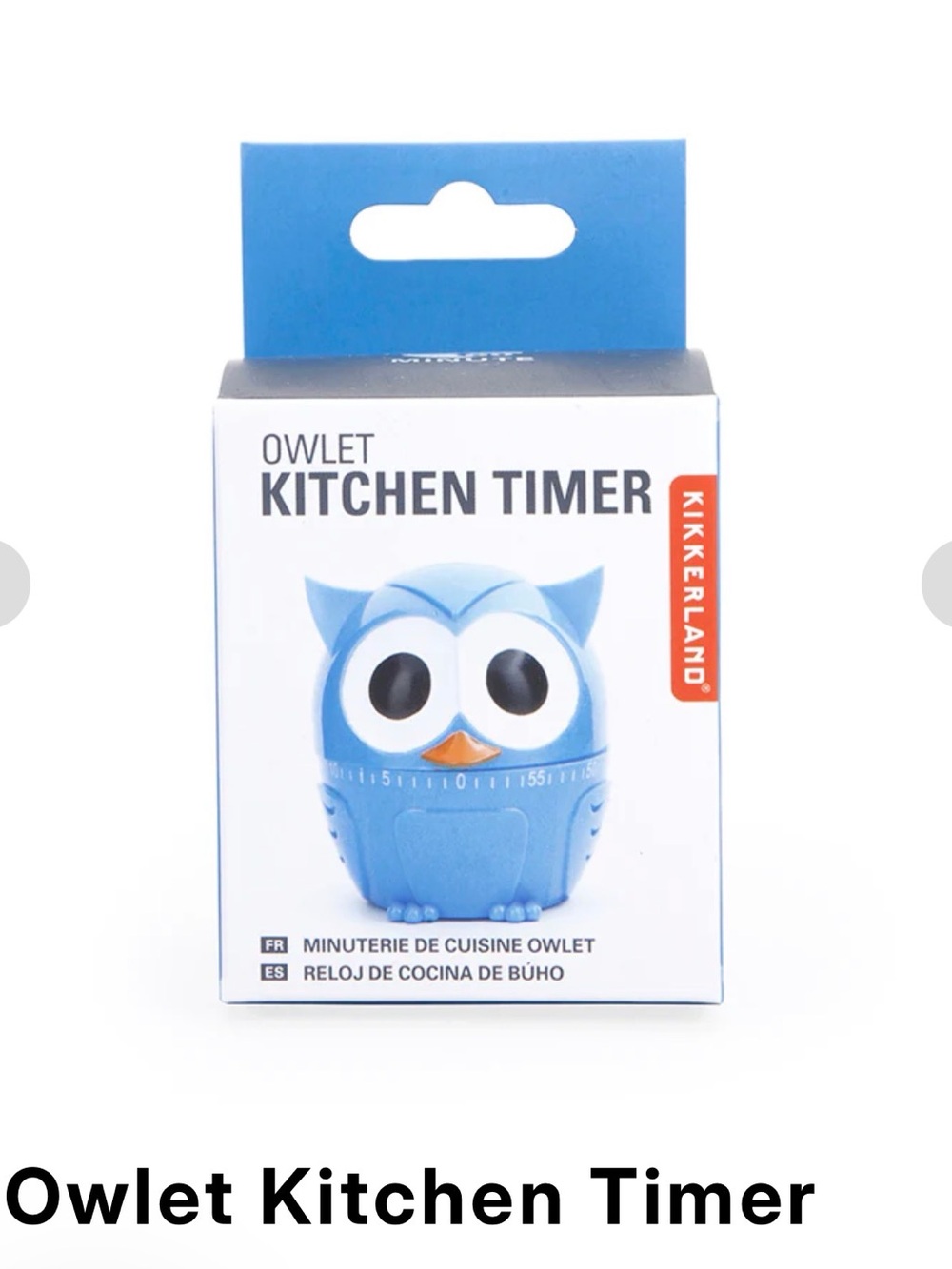Kikkerland Blue Owl Kitchen Timer